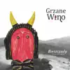 Grzane Wino - Bieszczady